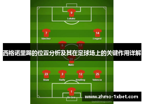 西格诺里踢的位置分析及其在足球场上的关键作用详解