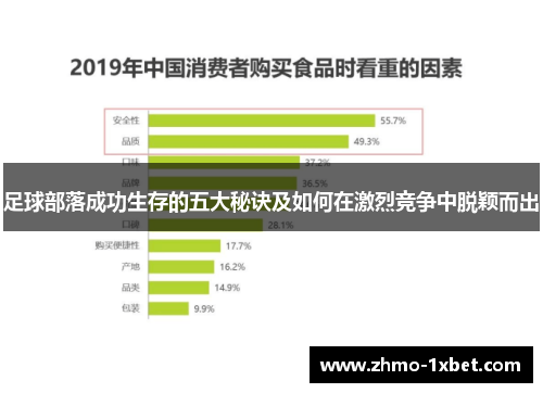足球部落成功生存的五大秘诀及如何在激烈竞争中脱颖而出