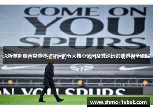 深析英超联赛突遭停摆背后的五大核心诱因及其深远影响透视全貌解