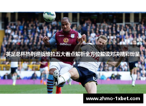 英足总杯热刺迎战维拉五大看点解析全方位解读对决精彩纷呈