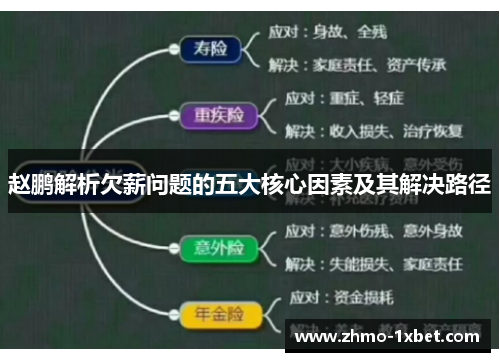 赵鹏解析欠薪问题的五大核心因素及其解决路径