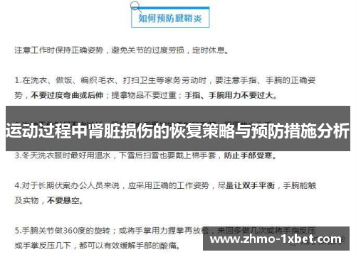 运动过程中肾脏损伤的恢复策略与预防措施分析