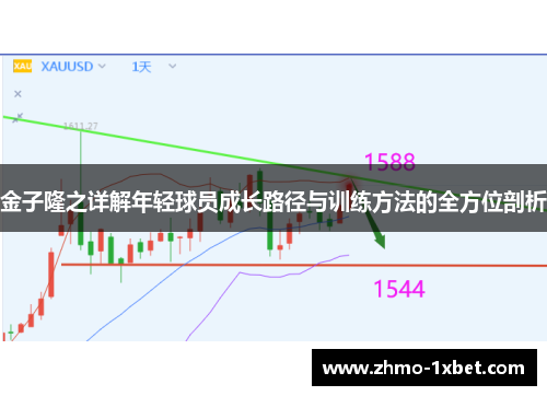 金子隆之详解年轻球员成长路径与训练方法的全方位剖析 金子隆之详解年轻球员成长路径与训练方法的全方位剖析