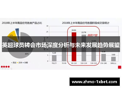 英超球员转会市场深度分析与未来发展趋势展望 英超球员转会市场深度分析与未来发展趋势展望