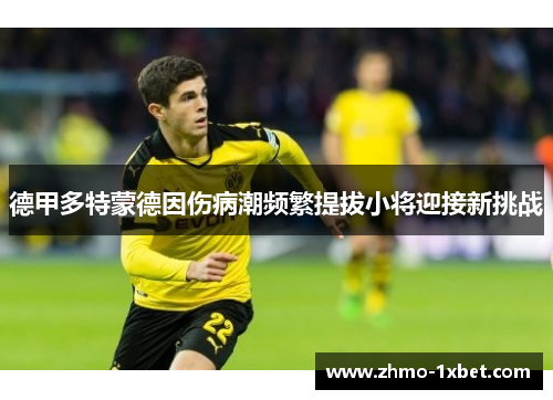 德甲多特蒙德因伤病潮频繁提拔小将迎接新挑战