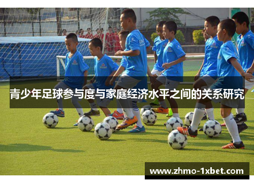 青少年足球参与度与家庭经济水平之间的关系研究